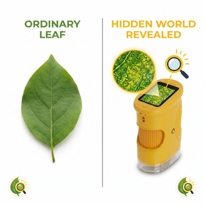 Comparativa antes y después del detalle observado con LeafPeek