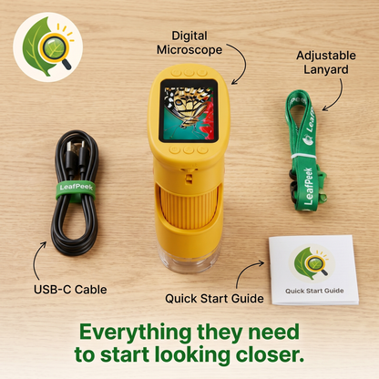 Contenido del kit LeafPeek organizado en plano cenital con elementos incluidos verificados